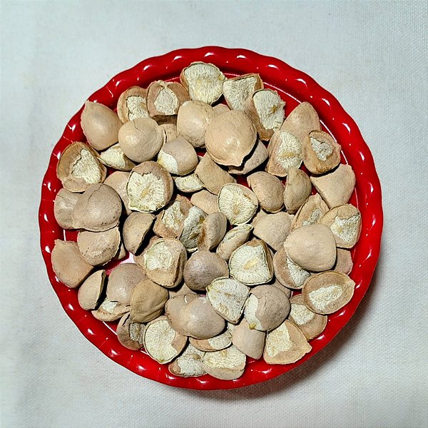 Noz da índia com Casca 60 unidades selecionadas - Atacado e varejo