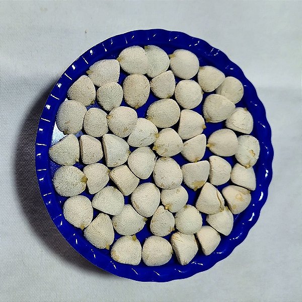 Noz da índia 15 unidades selecionadas