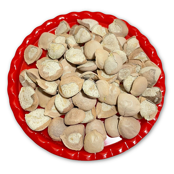 Noz da índia Com casca 15 unidades selecionadas