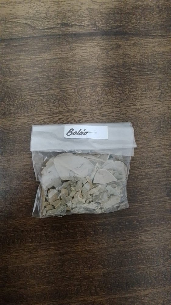 Boldo - Erva Medicinal Natural