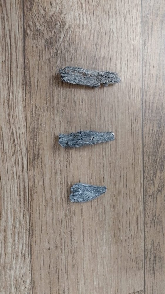 Palo Santo – Madeira Sagrada de Purificação