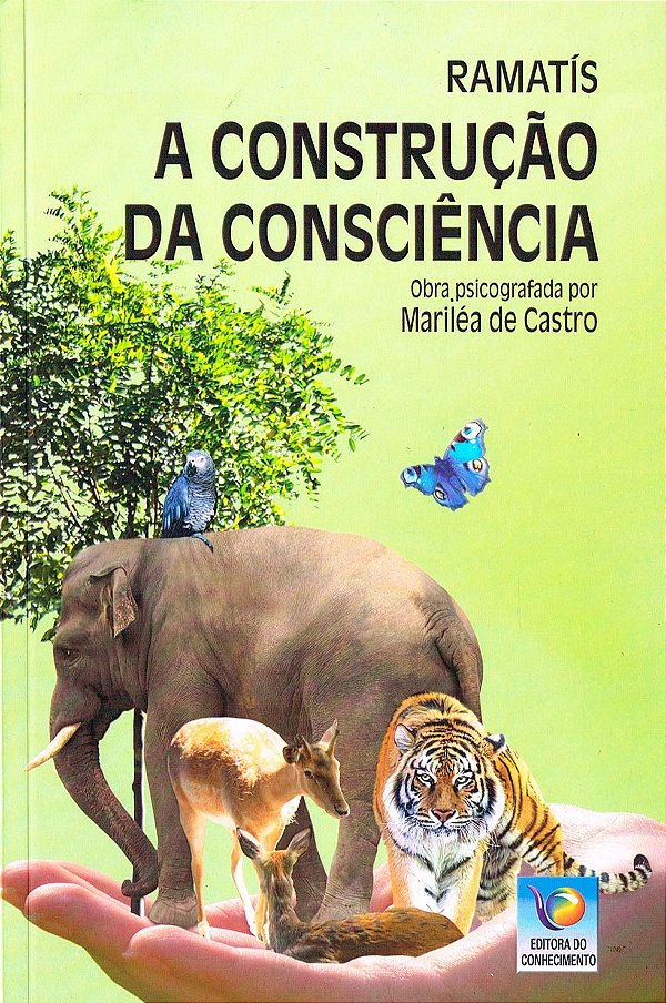 A Construção da Consciência