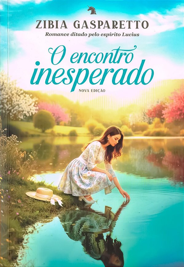 O Encontro Inesperado