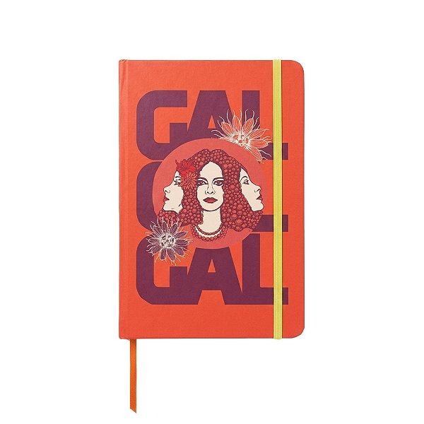 Caderno GAL O musical