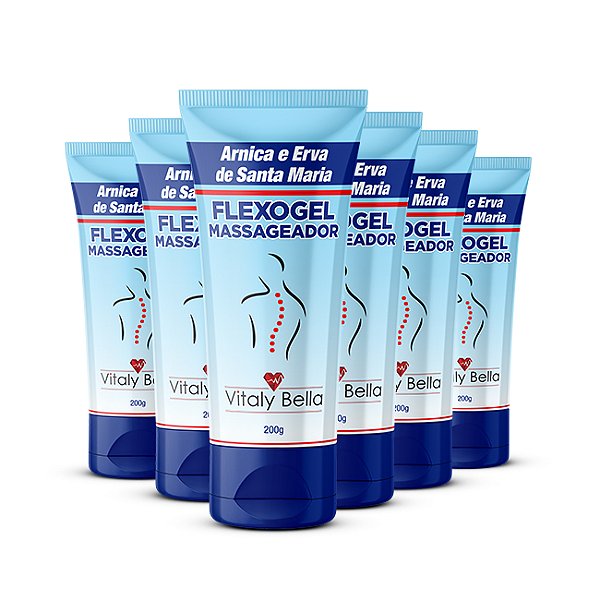 Kit Econômico com 6 Unidades – Flexogel Massageador com Arnica e Erva de Santa Maria