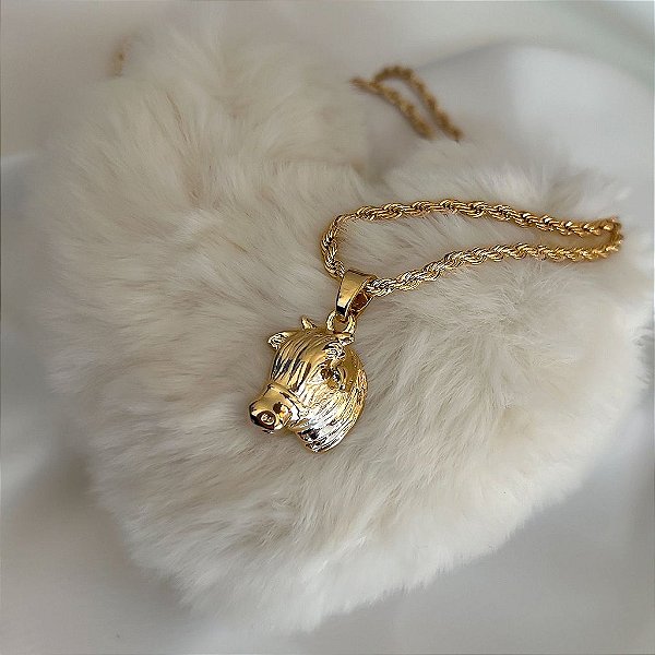 Colar Feminino Boi com Cordão Baiano