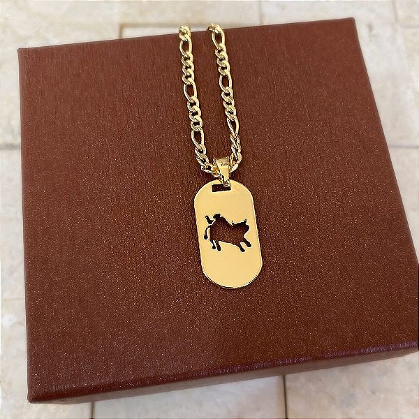 Colar Masculino Rodeio com Cordão 3x1