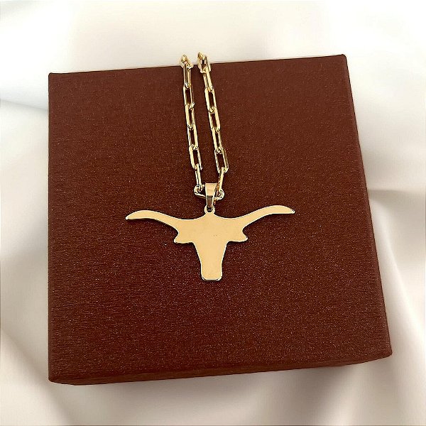 Colar Masculino Touro Liso com Cordão Cartier