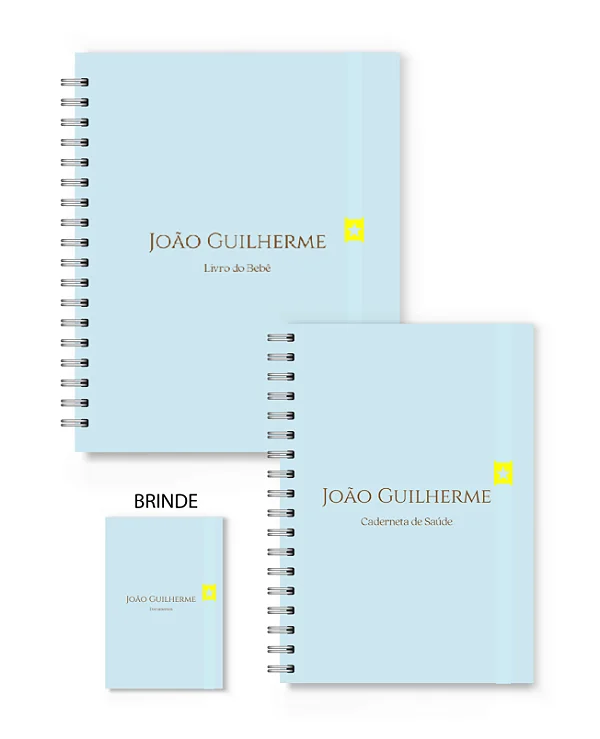Kit Florart Livro + Caderneta Azul Liso