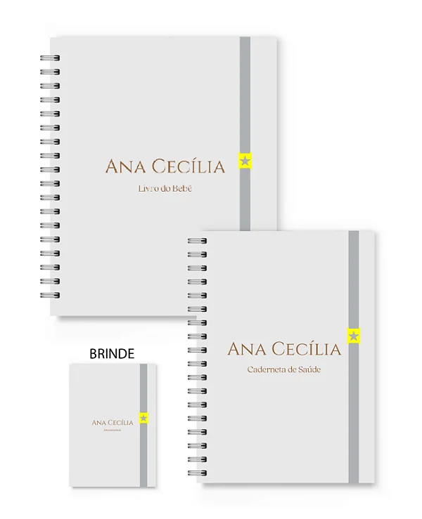 Kit Florart Livro + Caderneta Cinza Liso