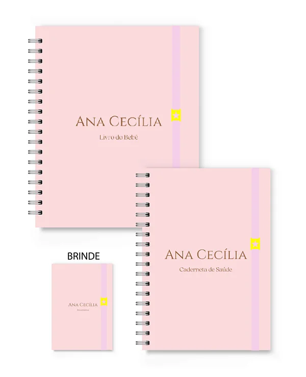 Kit Florart Livro + Caderneta Rosa Liso
