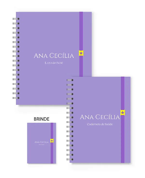 Kit Florart Livro + Caderneta Roxo Liso