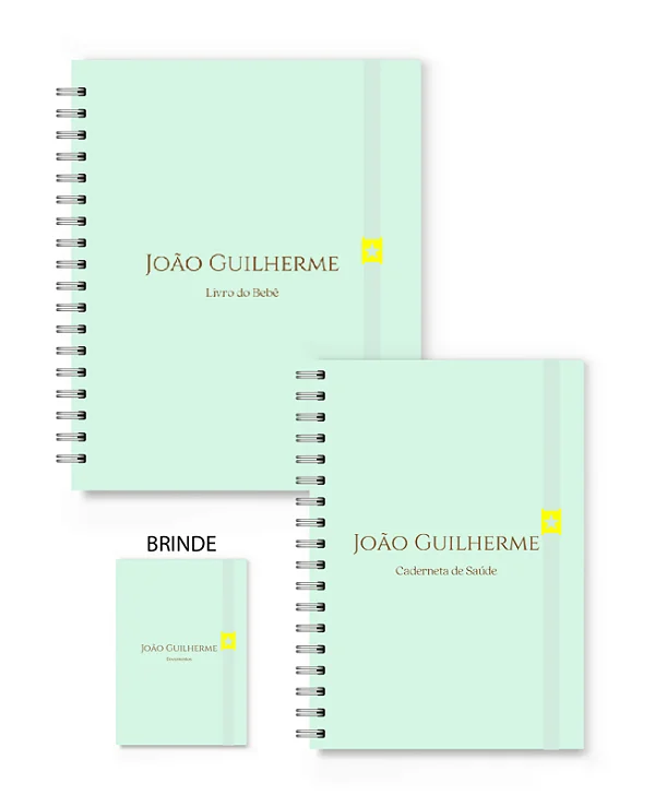 Kit Florart Livro + Caderneta Verde Claro Liso