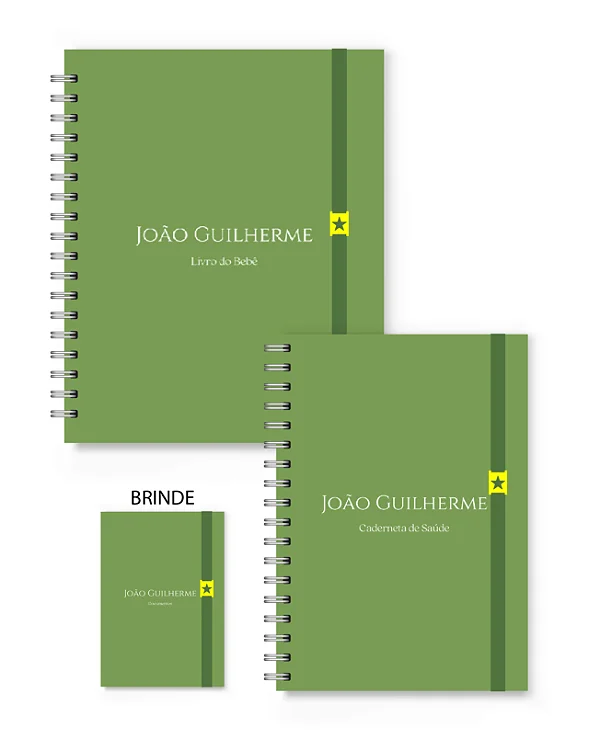 Kit Florart Livro + Caderneta Verde Liso