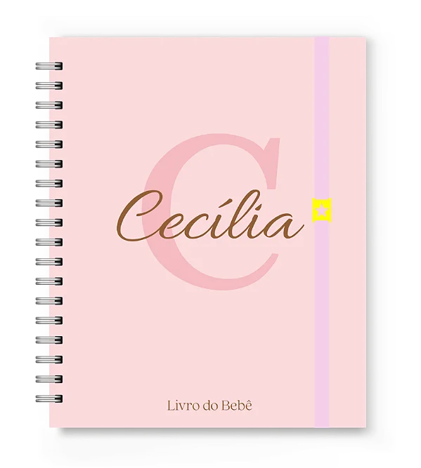 Livro do Bebê Florart Alfabeto Rosa