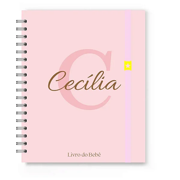 Livro do Bebê Florart Alfabeto Rosa