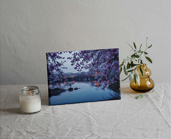 Placas Decorativas