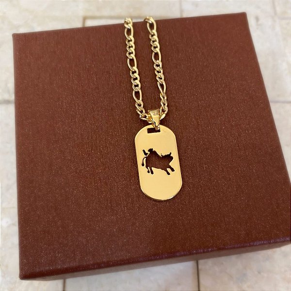 Colar Masculino Rodeio com Cordão 3x1 Banhado a Ouro 18K