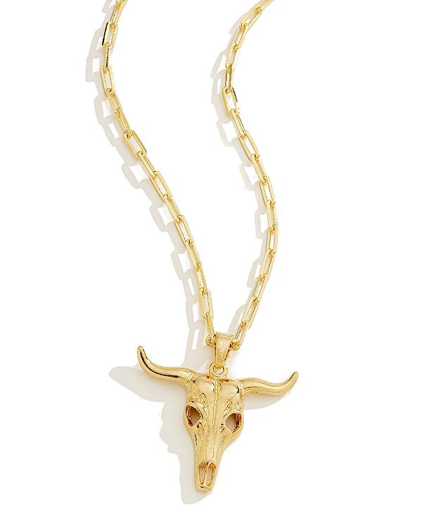 Colar Masculino Touro com Cordão Cartier Banhado a Ouro 18K