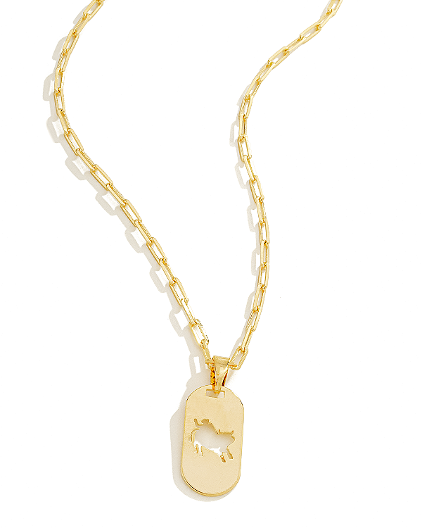 Colar Masculino Rodeio com Cordão Cartier Banhado a Ouro 18K