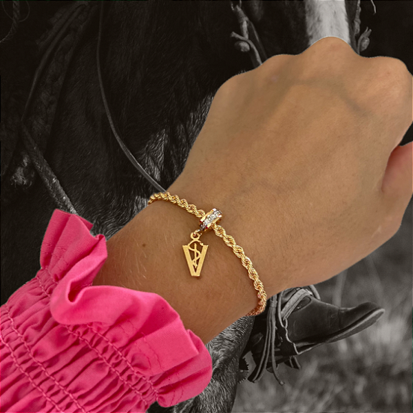 Pulseira Feminina Berloque Veterinária Banhada a Ouro 18k