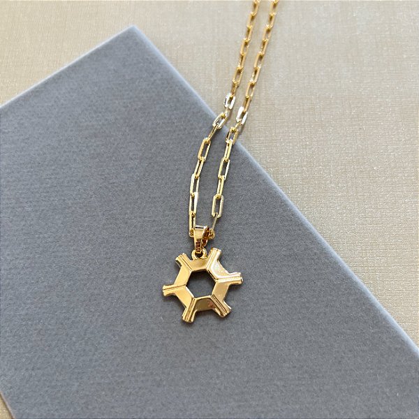 Colar Masculino Agronomia Luxo com Cordão Cartier Banhado a Ouro 18K