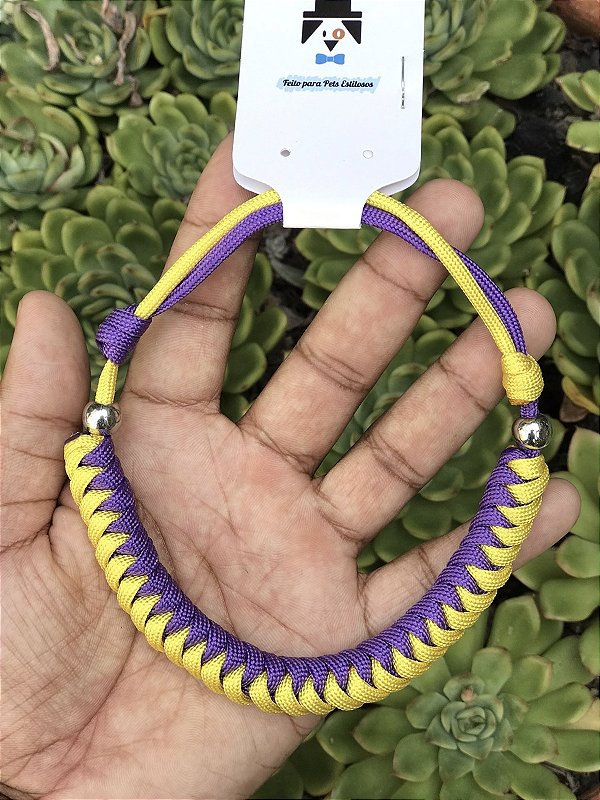 COLAR FULL SNAKE PEQUENO PORTE