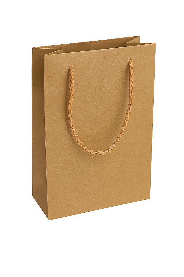 Sacolas de papel Kraft 25x17x6cm