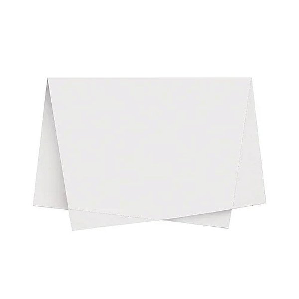 Papel De Seda Pct C/100Un Branco