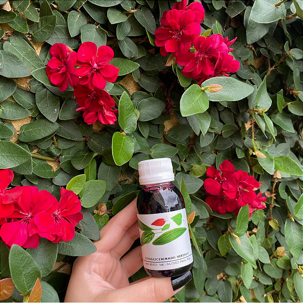 EXTRATO GLICERINADO DE HIBISCO - 60g