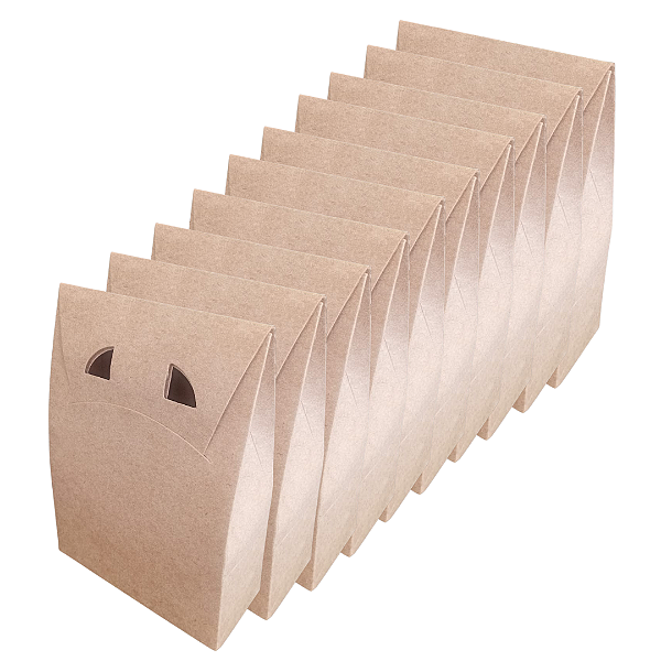 Embalagem Caixa / Sacola Kraft Pequena 11cm X4,5cm X16cm - 10 unidades