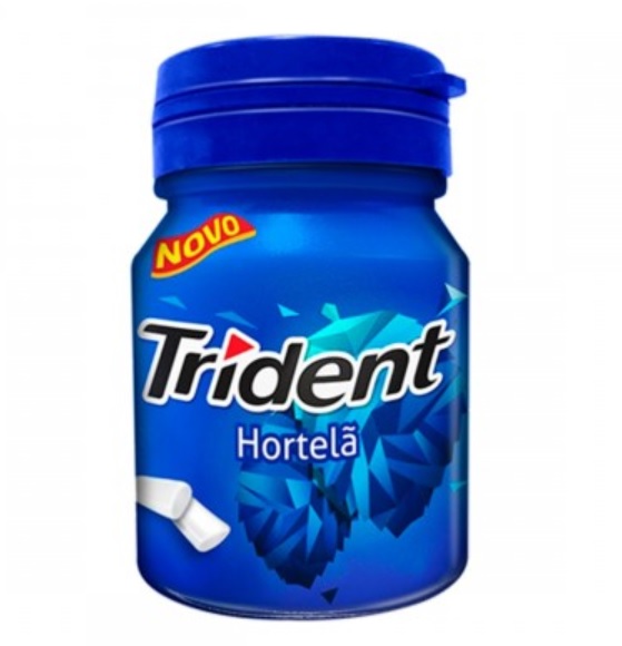 CHIC TRIDENT GARRAF HORTELA 6X54GR (6) DP/6