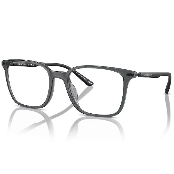 6106 54 Emporio Armani Vista