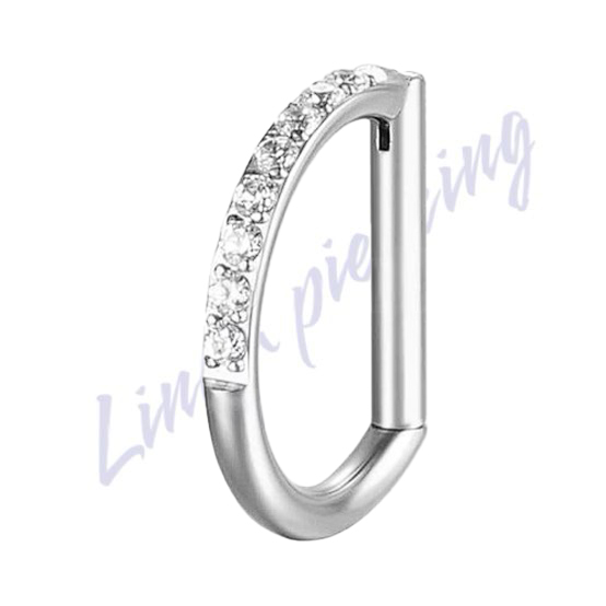 Meia Argola Titânio Segmento Zircônia Cravejada 1.2x8