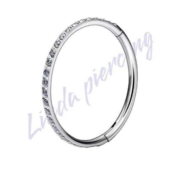 Argola Segmento Titânio Zircôrnia 8x1.0