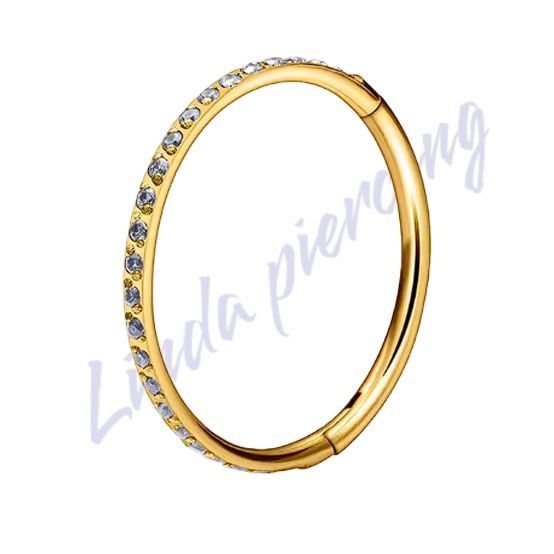 Argola Segmento Titânio pvd Zircôrnia 10x1.0