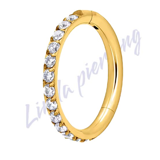 Argola Segmento Articulado Titânio pvd Zircôrnia 1.2x10