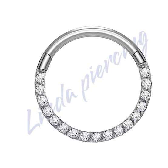 Argola Titânio cravejado 1.2x10