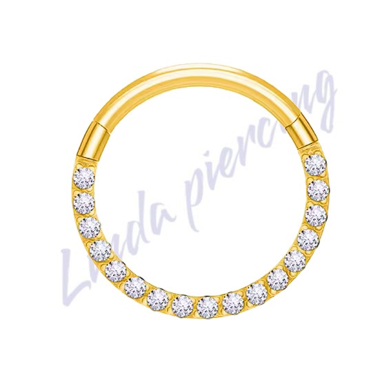 Argola Titânio pvd cravejado 1.2x10