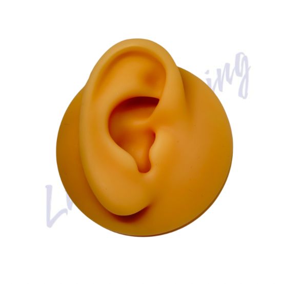 Expositor De Silicone Orelha Direita