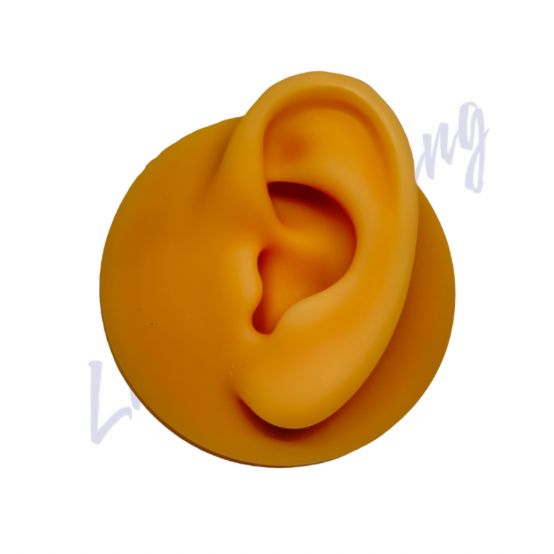 Expositor De Silicone Orelha Esquerda