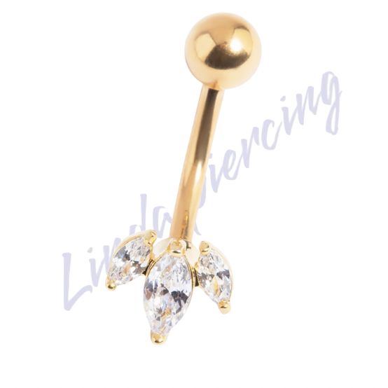 Minibarbell Curvo Titânio pvd cravejado Zircônias