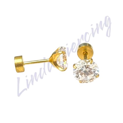 Brinco Titânio pvd c/chapinha 6mm