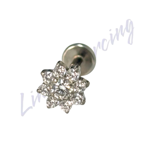 Labret Titânio cravejado 9 pedras