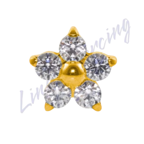 Labret mini Flor titânio pvd 1.2x8