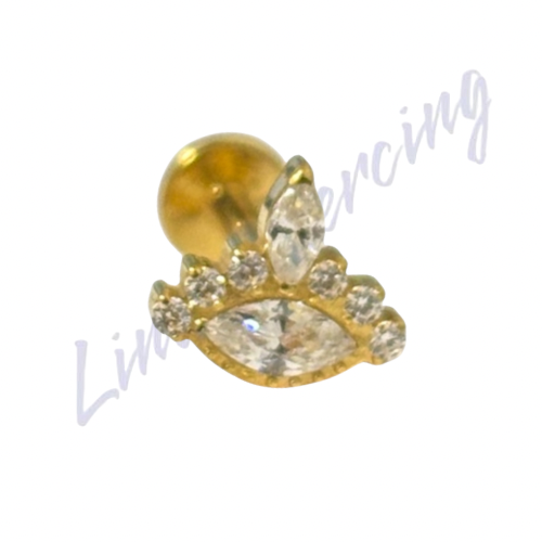 Labret Titânio pvd Estilo Indiano 1.2x8