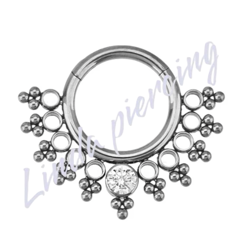 Argola Segmento Frontal Titânio Cravejado 1.2x8