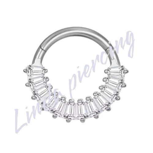 Argola Segmento Frontal Cravejada Titânio