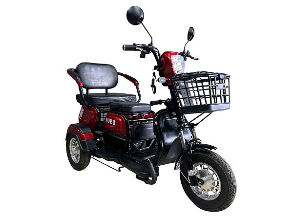 Triciclo Eletrico 600w S300 2025