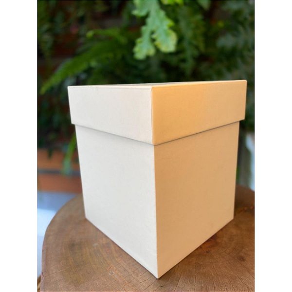 Caixa Rigida G Creme16x16x20 - 01 unidade - Rizzo